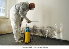 Mold Inspection